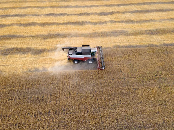 Harvesting Grain Crops Harvesting Wheat Oats Barley Fields Ranches Farmlands — Foto Stock