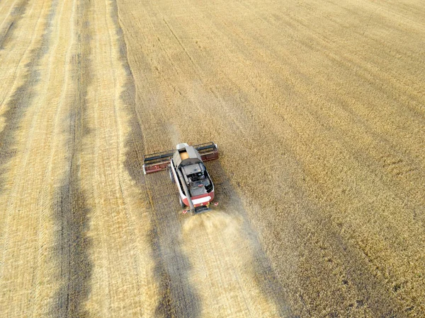 Harvesting Grain Crops Harvesting Wheat Oats Barley Fields Ranches Farmlands — Foto Stock