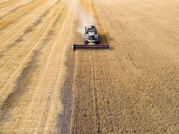 Combines Mow Wheat Field Agro Industry Combine Harvester Cutting Wheat — Foto Stock