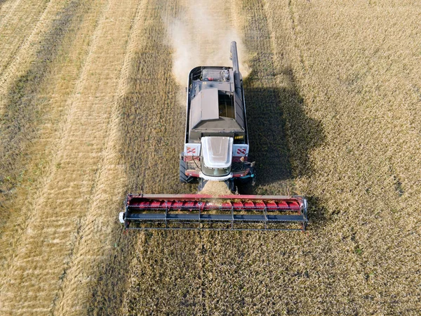 Combines Mow Wheat Field Agro Industry Combine Harvester Cutting Wheat — Photo