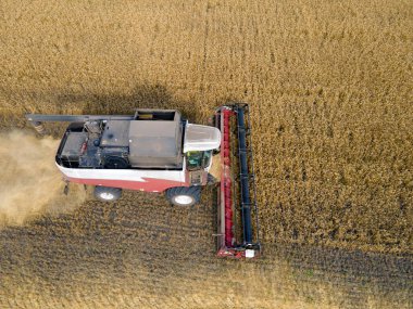 Combines mow wheat in the field.Agro-industry.Combine Harvester Cutting on wheat field.Machine harvest wheat.Harvesting of grain crops.Harvesting wheat,oats and barley in fields,ranches and farmlands