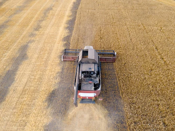 Combines Mow Wheat Field Agro Industry Combine Harvester Cutting Wheat — Φωτογραφία Αρχείου