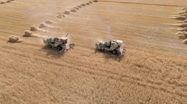 Harvesting of grain crops.Harvesting wheat,oats and barley in fields,ranches and farmlands.Combines mow wheat in the field.Agro-industry.Combine Harvester Cutting on wheat filed.Machine harvest wheat