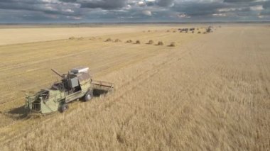 Kazakistan, Astana-09.12.2022: Buğday, yulaf ve arpaları tarlalarda, çiftliklerde ve tarlalarda hasat etmek. Tarlada buğday biçiyorlar.