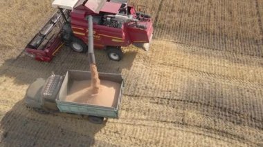 Kazakistan, Astana-09.12.2022: Buğday, yulaf ve arpaları tarlalarda, çiftliklerde ve tarlalarda hasat etmek. Tarlada buğday biçiyorlar.