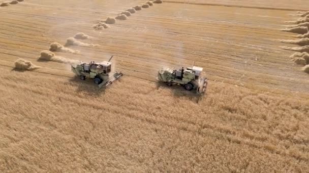 Harvesting Grain Crops Harvesting Wheat Oats Barley Fields Ranches Farmlands — Vídeo de Stock