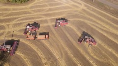 Buğday, ekin, yulaf, tarla, çiftlik ve tarım alanlarında arpa hasat etmek. Tarlada biçilen ekin hasadı, buğday tarlasında biçilen ekin hasadı. Makineler hasat ediliyor.
