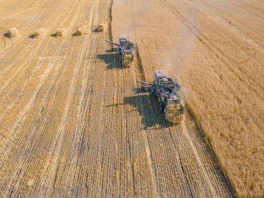 Buğday, ekin, yulaf, tarla, çiftlik ve tarım alanlarında arpa hasat etmek. Tarlada biçilen ekin hasadı, buğday tarlasında biçilen ekin hasadı. Makineler hasat ediliyor.