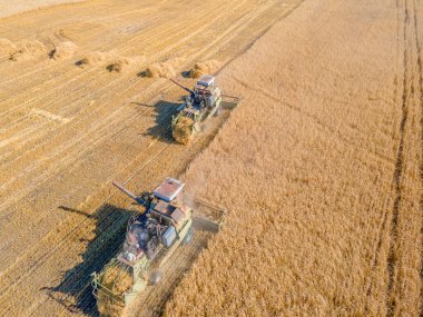 Buğday, ekin, yulaf, tarla, çiftlik ve tarım alanlarında arpa hasat etmek. Tarlada biçilen ekin hasadı, buğday tarlasında biçilen ekin hasadı. Makineler hasat ediliyor.