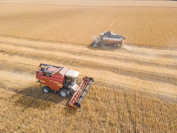 Harvest wheat grain and crop aerial view.Harvesting wheat,oats, barley in fields,ranches and farmlands.Combines mow in the field.Agro-industry.Combine Harvester Cutting on wheat filed.Machine harvest