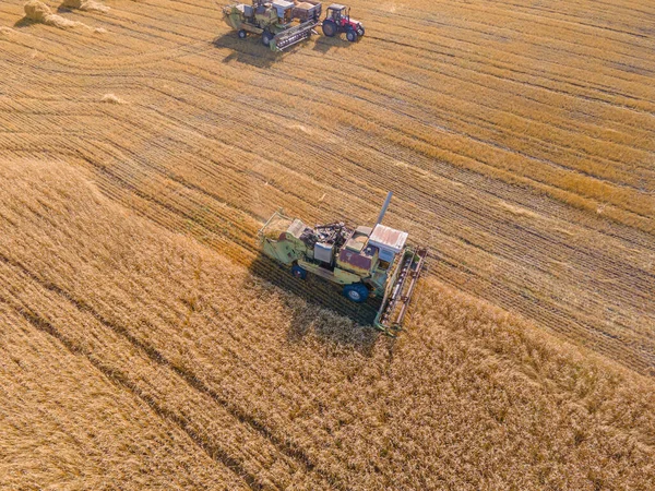 收获小麦 大麦在田里 牧场里和农场里收割 农田里收割庄稼 农产工业 联合收割者收割麦片 机器收割 — 图库照片