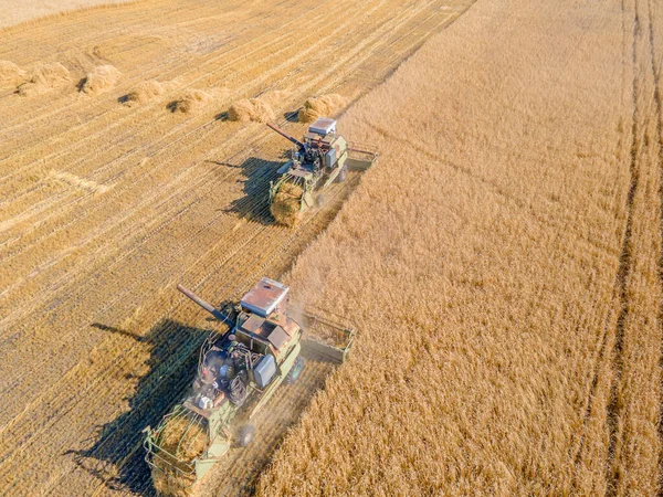 Harvest wheat grain and crop aerial view.Harvesting wheat,oats, barley in fields,ranches and farmlands.Combines mow in the field.Agro-industry.Combine Harvester Cutting on wheat filed.Machine harvest