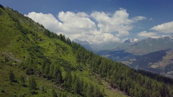 Latanie nad lasami alpejskimi - Lot lotniczy — Wideo stockowe