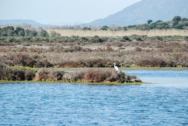 Porto botte — Stockfoto