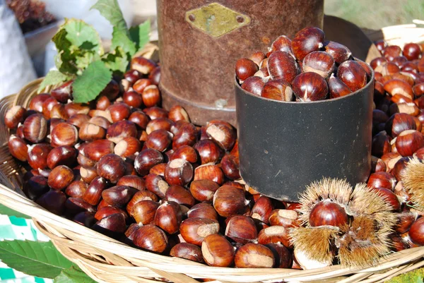 Castagne arrosto — Foto Stock