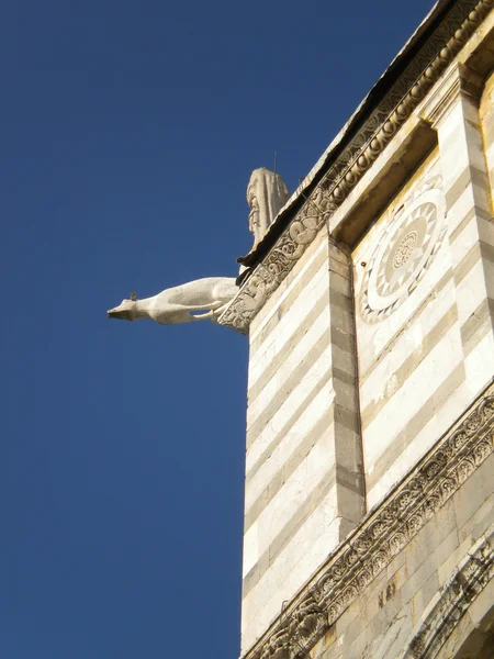 Pisa, piazza dei miracoli — Stock fotografie