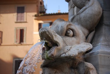 Roma - çeşmeden piazza della rotonda ve pantheon