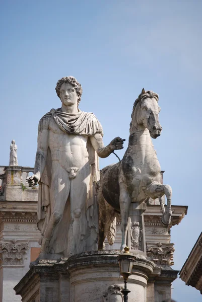 Standbeeld van pollux met zijn paard op de piazza del campidoglio — Stockfoto