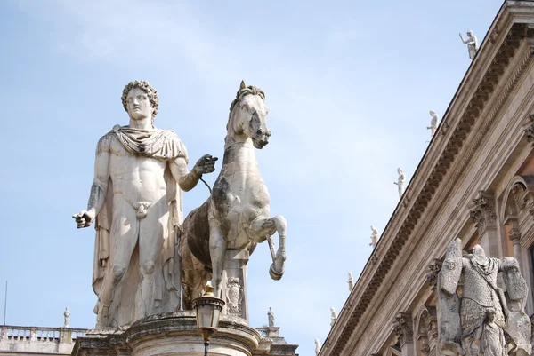 Статуя Поллукса с лошадью на площади Пьяцца дель Кампидольо — стоковое фото