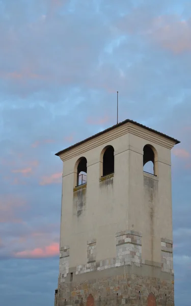 Pisa — Stockfoto