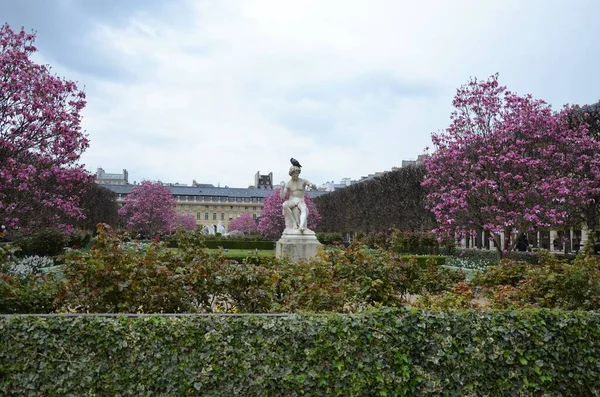 Жардин Пале Рояль Париж Франция — стоковое фото