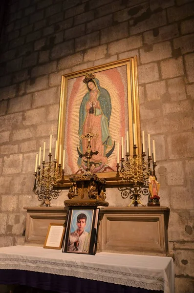 Interior Catedral Notre Dame París Francia — Foto de Stock