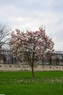 Day view of the Jardin des Tuileries garden, Paris, France