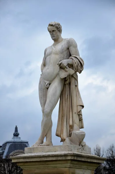 Day View Jardin Des Tuileries Garden Paris France — Stockfoto