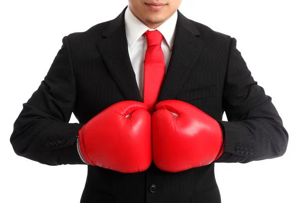 Boxer business primo piano — Foto Stock