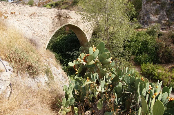 Bocairent puente y chumbera — Fotografia de Stock