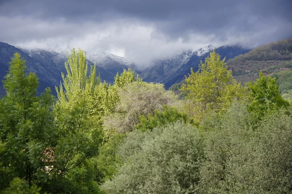 Sierra de gredos nevada — Stock Photo, Image