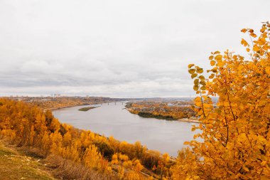 Rusya, Nizhny Novgorod 'daki sonbahar parkı. Sonbahar ağacı dalları. Sonbahar arkaplanı