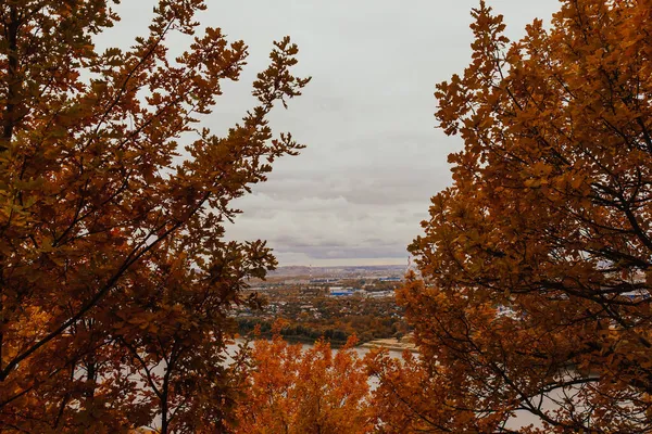 Осенний Переулок Панорама Осеннего Вечернего Озера Спокойный Вечерний Вид — стоковое фото
