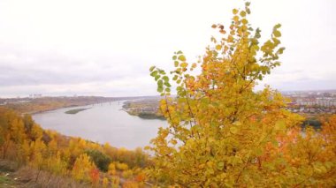 Sersemletici Volga nehri ve sonbaharda orman. Nizhniy Novgorod, Rusya.