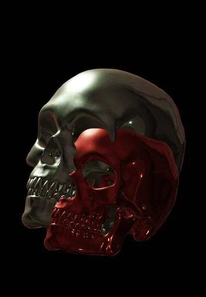 Illustration Human Skull Art — Zdjęcie stockowe