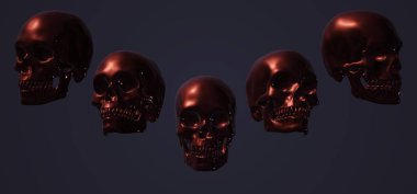 halloween concept of human skull, skulls