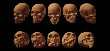 human skull and bones, isolated on white. 3d render