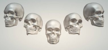 human skull. black-white illustration.