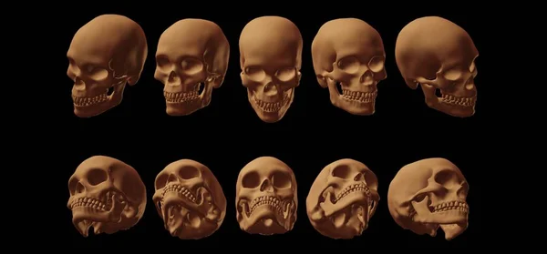 Human Skull Bones Isolated White Render — Fotografia de Stock