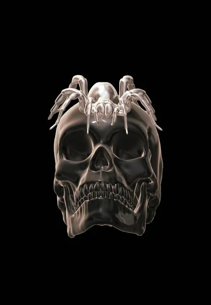 Skull Isolated Black Background Reflection Form Heart — Fotografia de Stock
