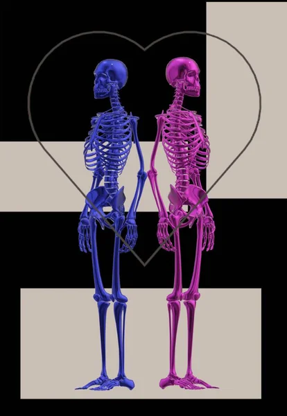 x-ray image of human skeleton