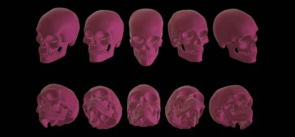 skull and skeleton. 3d render illustration.
