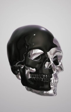 human skull isolated on a black background with a shadow
