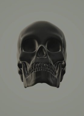 human skull with a skeleton of the bones and crossbones.