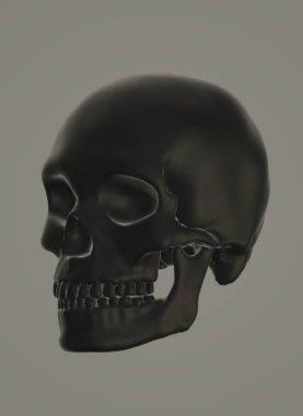 Beyaz arkaplanda iskeleti olan kafatası