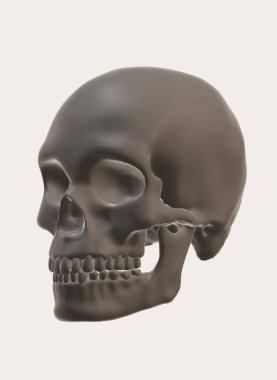 skull with bones on a white background