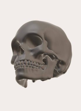 skull with bones, 3d render