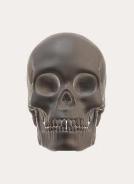 skull with bones on a white background