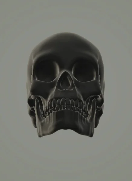 human skull with a skeleton of the bones and crossbones.