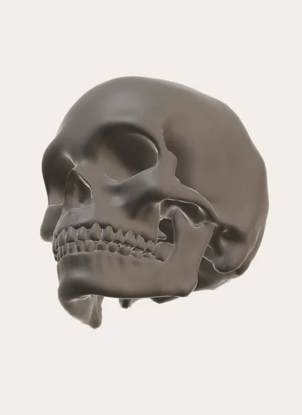 Skull Bones Render — 图库照片